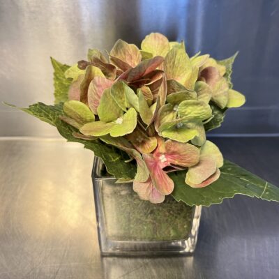 Centerpieces for Restaurant Tables – Hydrangea – Square Vase