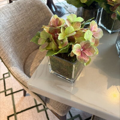 Green Hydrangea in a Square Glass Vase