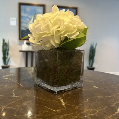 White Hydrangea in a Square Glass Vase