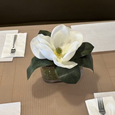 Magnolia in an Oval Glass Vase