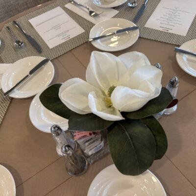 Magnolia in a Square Glass Vase